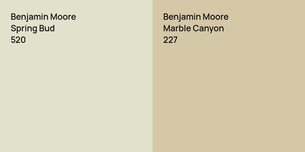 Benjamin Moore Spring Bud vs. Benjamin Moore Marble Canyon