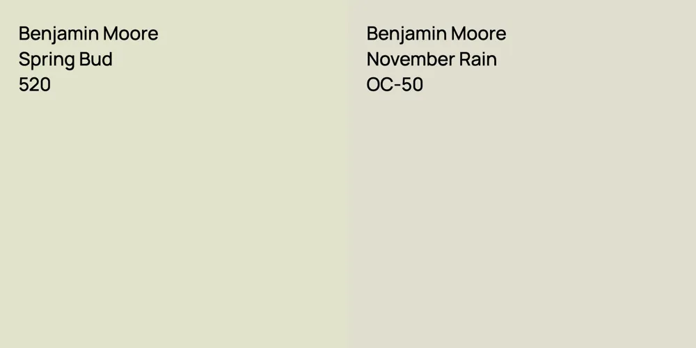 Benjamin Moore Spring Bud vs. Benjamin Moore November Rain