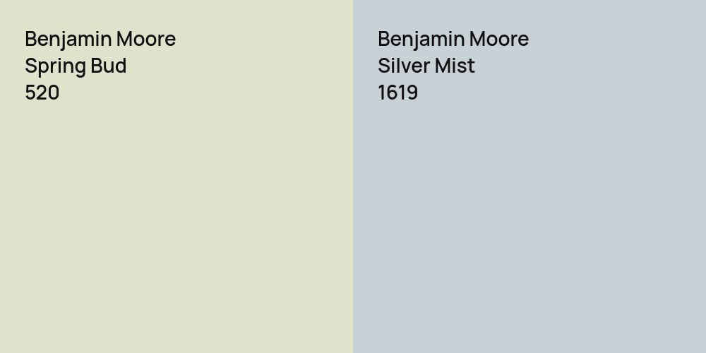 Benjamin Moore Spring Bud vs. Benjamin Moore Silver Mist