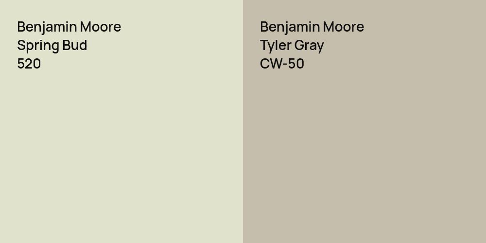 Benjamin Moore Spring Bud vs. Benjamin Moore Tyler Gray