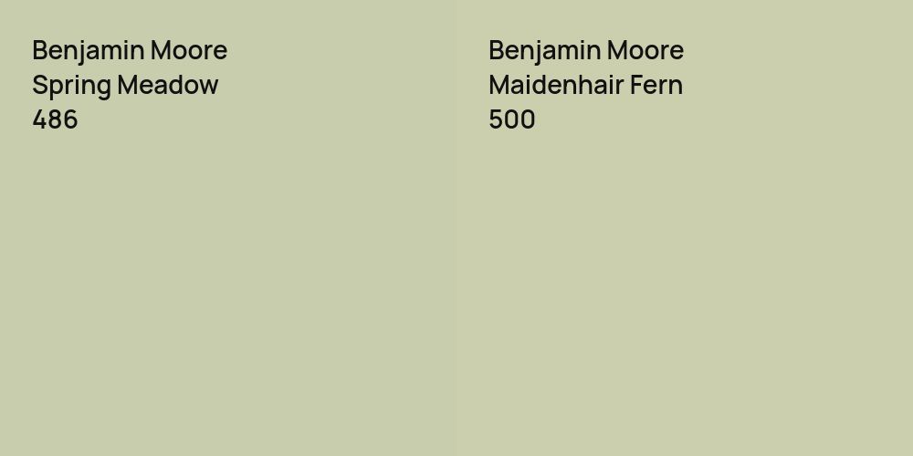 Benjamin Moore Spring Meadow vs. Benjamin Moore Maidenhair Fern