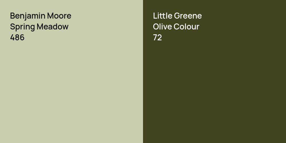 Benjamin Moore Spring Meadow vs. Little Greene Olive Colour