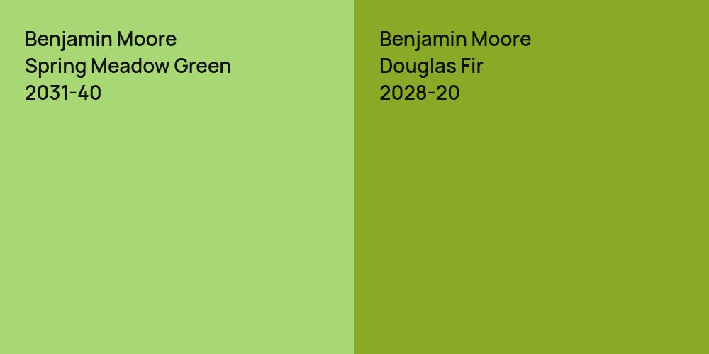 Benjamin Moore Spring Meadow Green vs. Benjamin Moore Douglas Fir