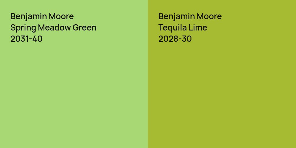 Benjamin Moore Spring Meadow Green vs. Benjamin Moore Tequila Lime