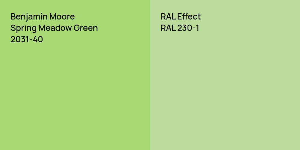 Benjamin Moore Spring Meadow Green vs. RAL Effect RAL 230-1