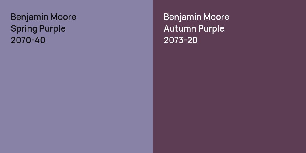 Benjamin Moore Spring Purple vs. Benjamin Moore Autumn Purple