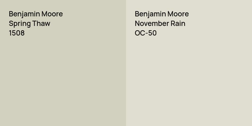 Benjamin Moore Spring Thaw vs. Benjamin Moore November Rain