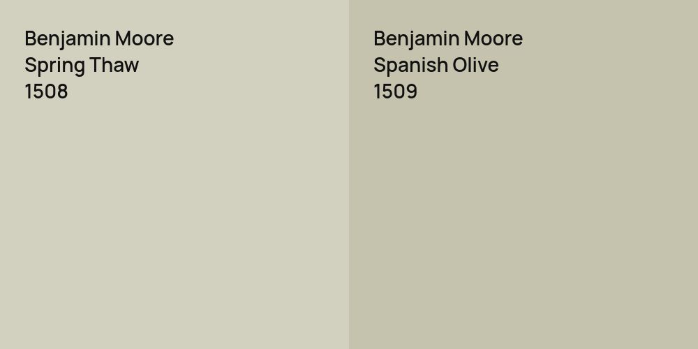 Benjamin Moore Spring Thaw vs. Benjamin Moore Spanish Olive