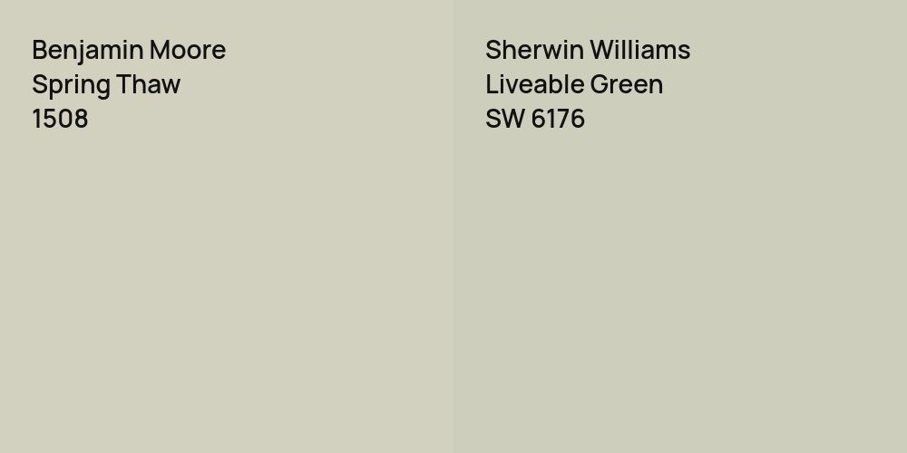 Benjamin Moore Spring Thaw vs. Sherwin Williams Liveable Green