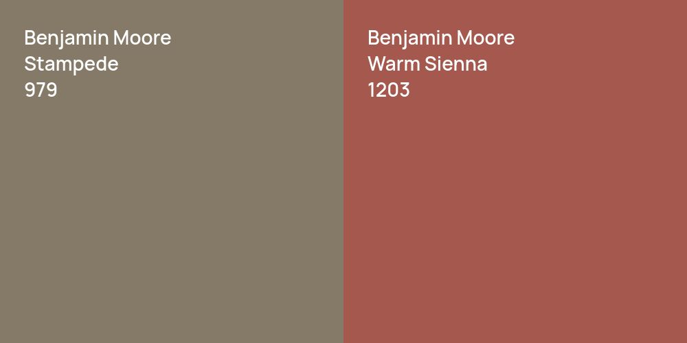 Benjamin Moore Stampede vs. Benjamin Moore Warm Sienna