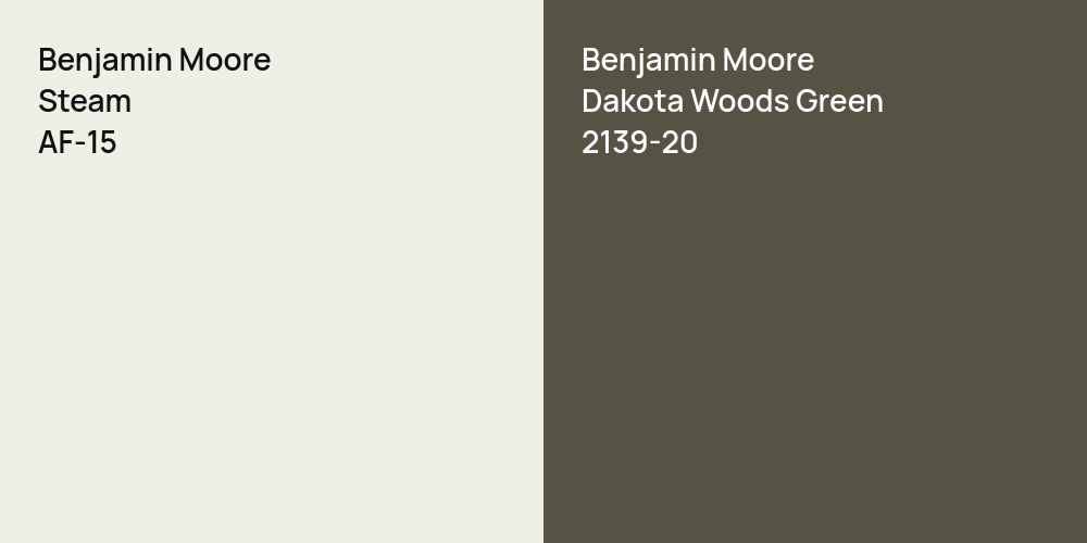 Benjamin Moore Steam vs. Benjamin Moore Dakota Woods Green