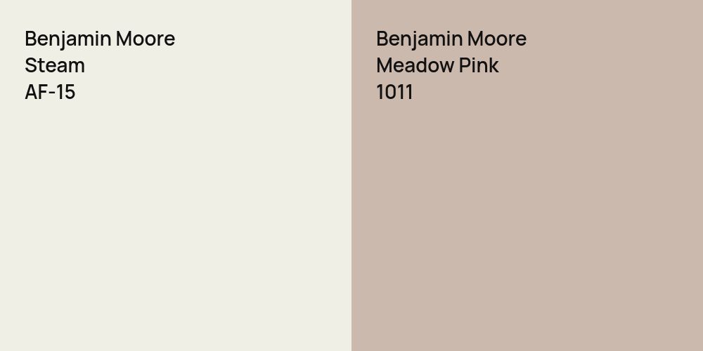 Benjamin Moore Steam vs. Benjamin Moore Meadow Pink