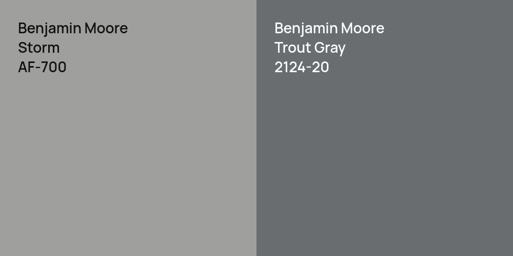 Benjamin Moore Storm vs. Benjamin Moore Trout Gray