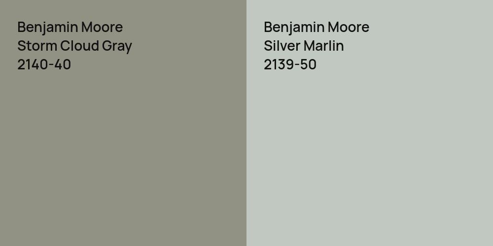 Benjamin Moore Storm Cloud Gray vs. Benjamin Moore Silver Marlin