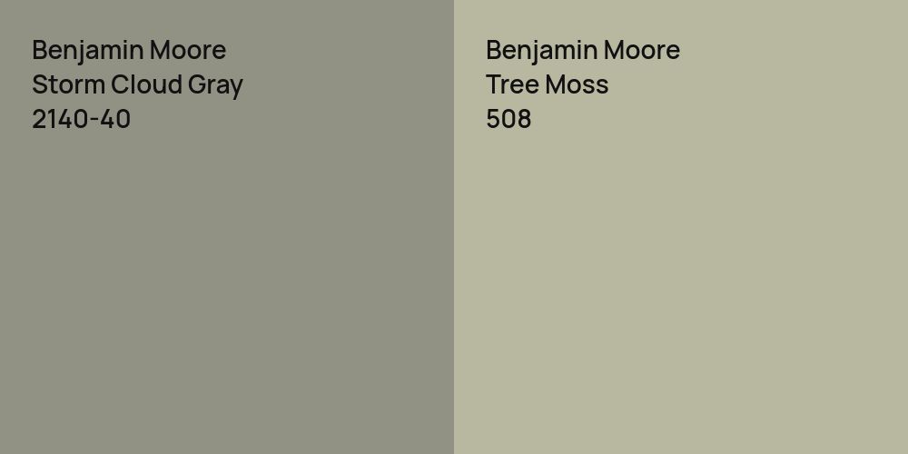 Benjamin Moore Storm Cloud Gray vs. Benjamin Moore Tree Moss