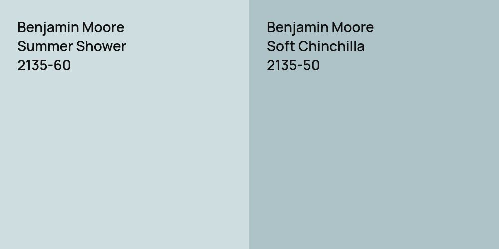 Benjamin Moore Summer Shower vs. Benjamin Moore Soft Chinchilla