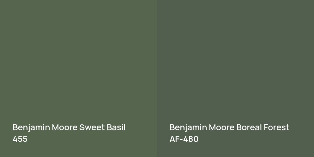 Benjamin Moore Sweet Basil vs. Benjamin Moore Boreal Forest