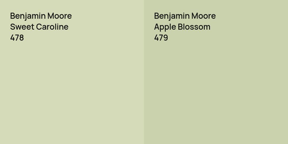 Benjamin Moore Sweet Caroline vs. Benjamin Moore Apple Blossom