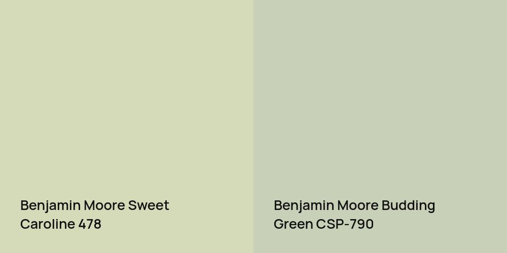 Benjamin Moore Sweet Caroline vs. Benjamin Moore Budding Green