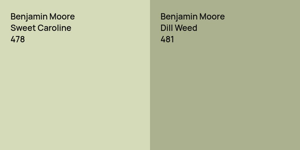 Benjamin Moore Sweet Caroline vs. Benjamin Moore Dill Weed