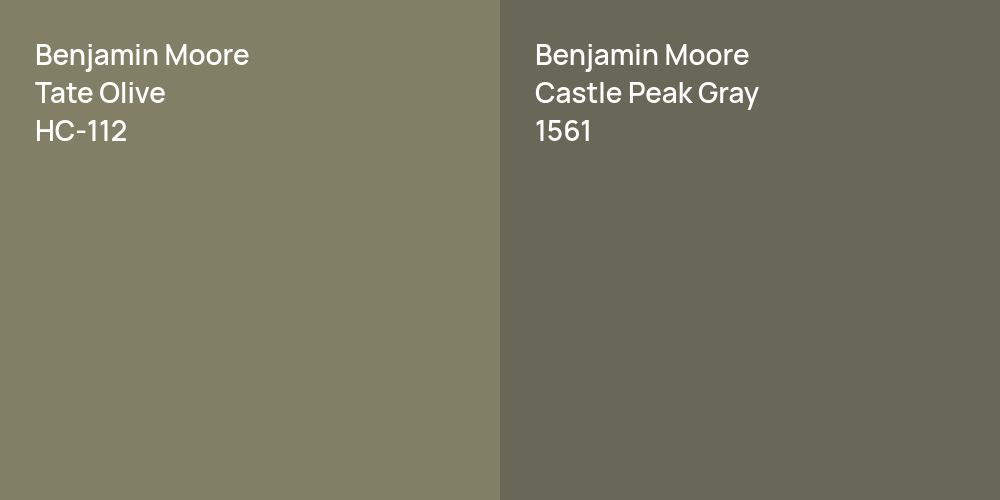 Benjamin Moore Tate Olive vs. Benjamin Moore Castle Peak Gray