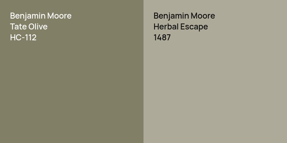 Benjamin Moore Tate Olive vs. Benjamin Moore Herbal Escape