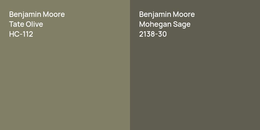 Benjamin Moore Tate Olive vs. Benjamin Moore Mohegan Sage