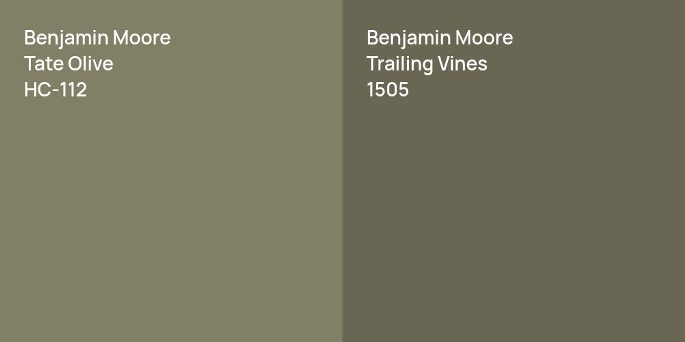 Benjamin Moore Tate Olive vs. Benjamin Moore Trailing Vines