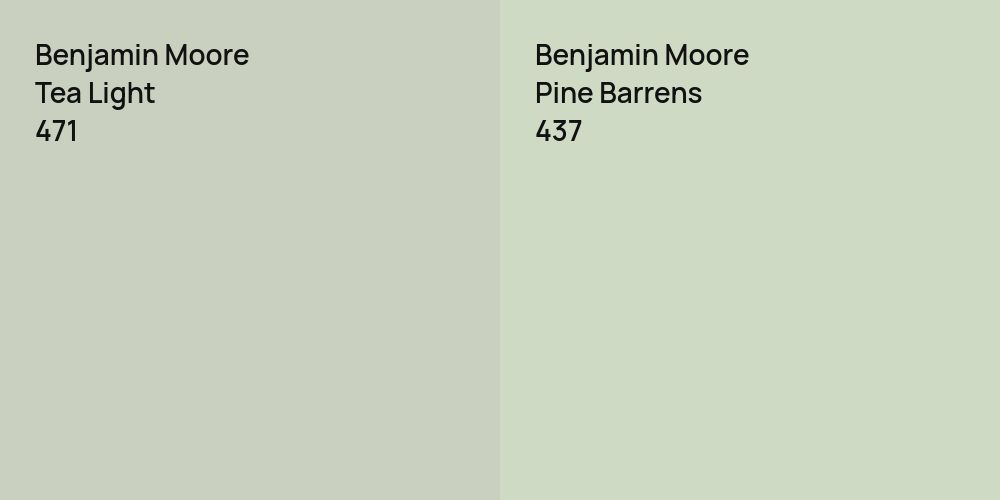 Benjamin Moore Tea Light vs. Benjamin Moore Pine Barrens