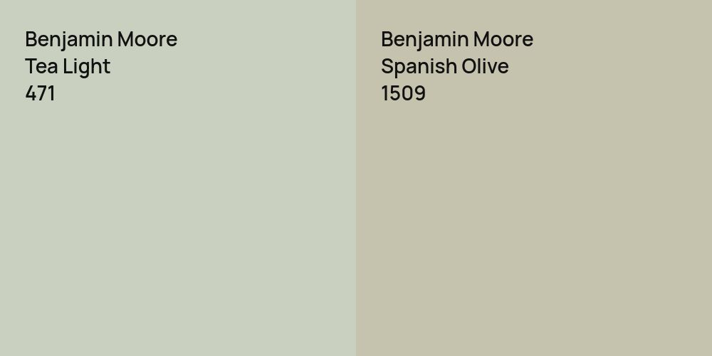 Benjamin Moore Tea Light vs. Benjamin Moore Spanish Olive