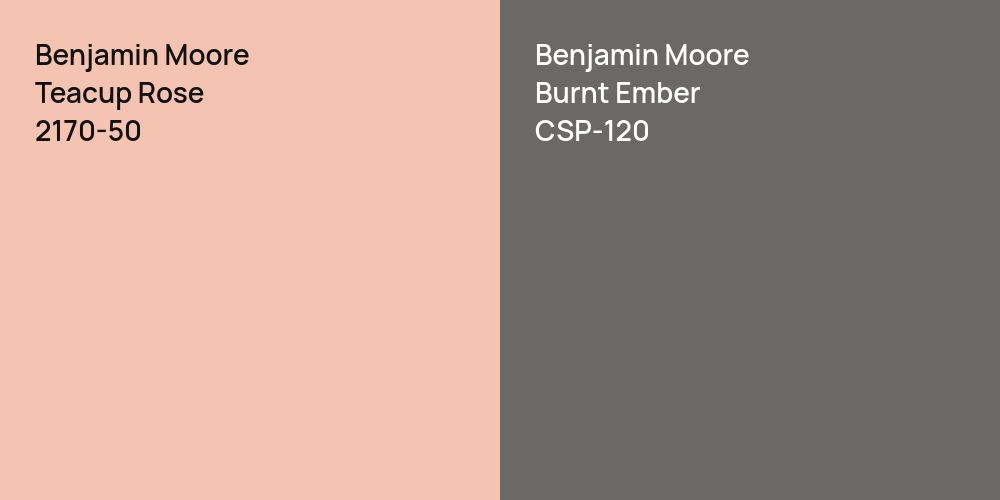 Benjamin Moore Teacup Rose vs. Benjamin Moore Burnt Ember