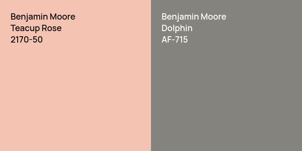 Benjamin Moore Teacup Rose vs. Benjamin Moore Dolphin