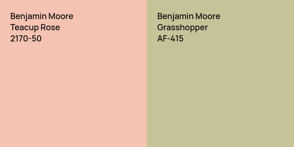 Benjamin Moore Teacup Rose vs. Benjamin Moore Grasshopper