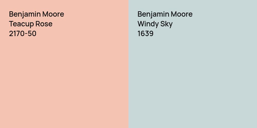 Benjamin Moore Teacup Rose vs. Benjamin Moore Windy Sky