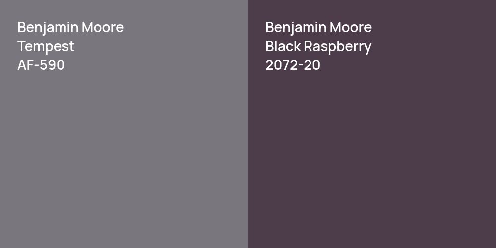 Benjamin Moore Tempest vs. Benjamin Moore Black Raspberry