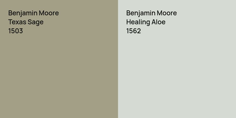 Benjamin Moore Texas Sage vs. Benjamin Moore Healing Aloe