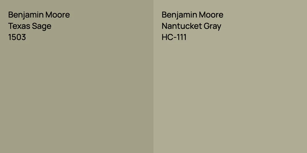 Benjamin Moore Texas Sage vs. Benjamin Moore Nantucket Gray