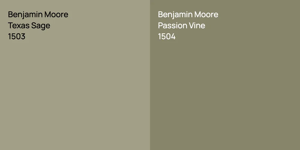 Benjamin Moore Texas Sage vs. Benjamin Moore Passion Vine