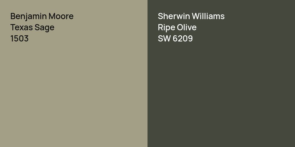 Benjamin Moore Texas Sage vs. Sherwin Williams Ripe Olive