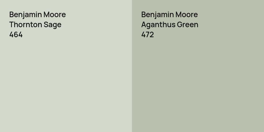 Benjamin Moore Thornton Sage vs. Benjamin Moore Aganthus Green