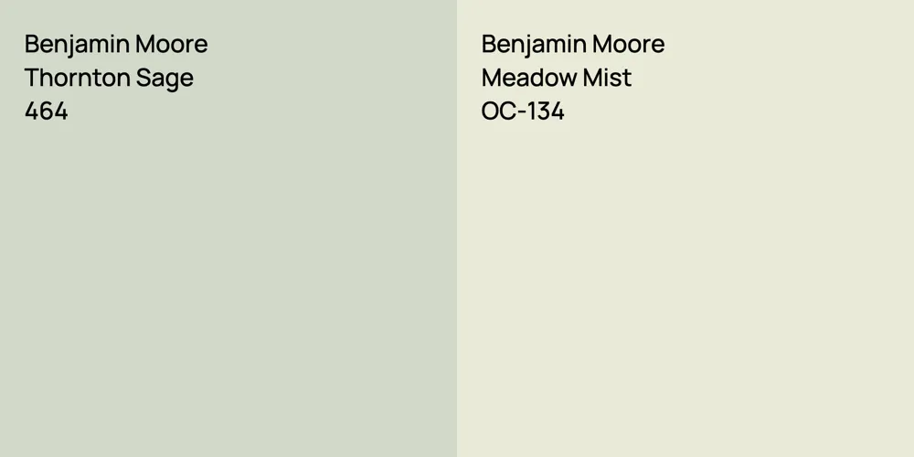 Benjamin Moore Thornton Sage vs. Benjamin Moore Meadow Mist