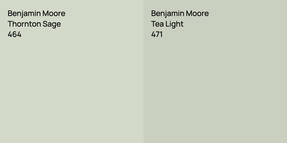 Benjamin Moore Thornton Sage vs. Benjamin Moore Tea Light