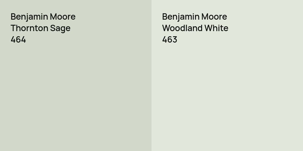 Benjamin Moore Thornton Sage vs. Benjamin Moore Woodland White