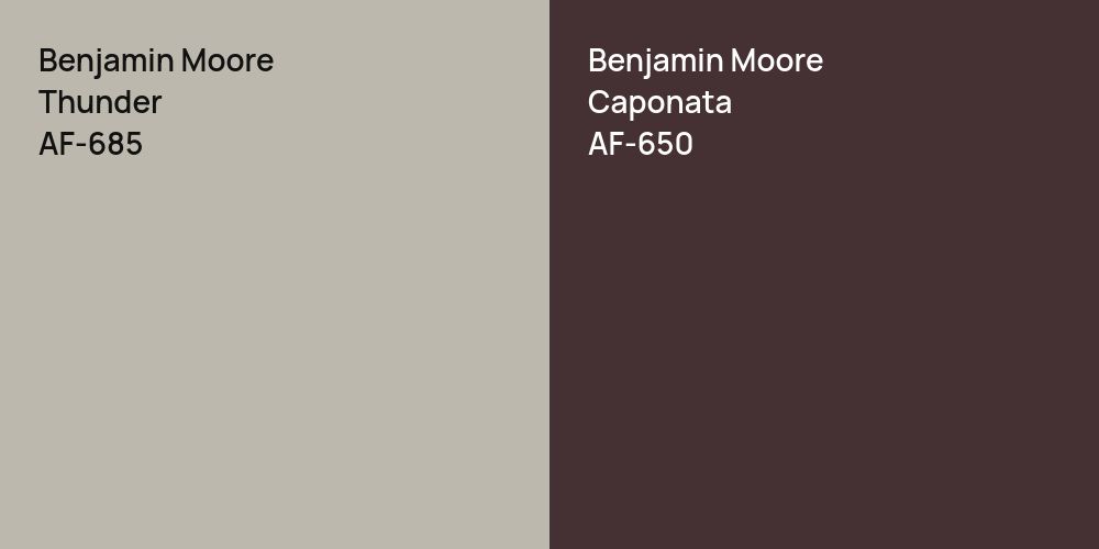 Benjamin Moore Thunder vs. Benjamin Moore Caponata