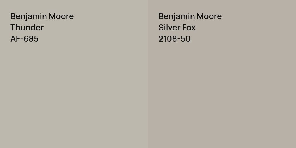 Benjamin Moore Thunder vs. Benjamin Moore Silver Fox