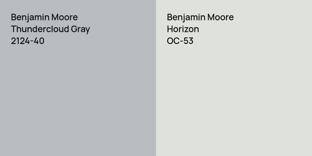 Benjamin Moore Thundercloud Gray vs. Benjamin Moore Horizon