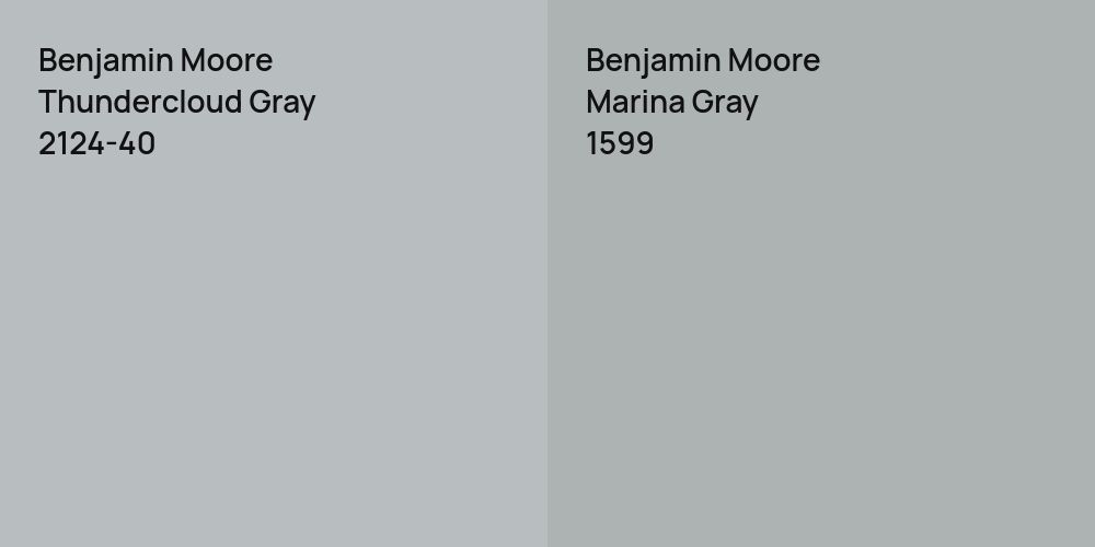 Benjamin Moore Thundercloud Gray vs. Benjamin Moore Marina Gray