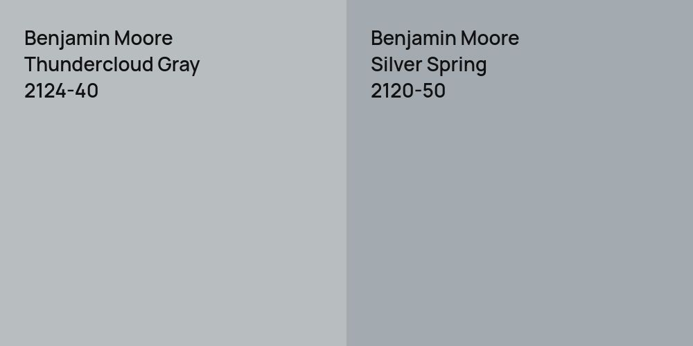 Benjamin Moore Thundercloud Gray vs. Benjamin Moore Silver Spring