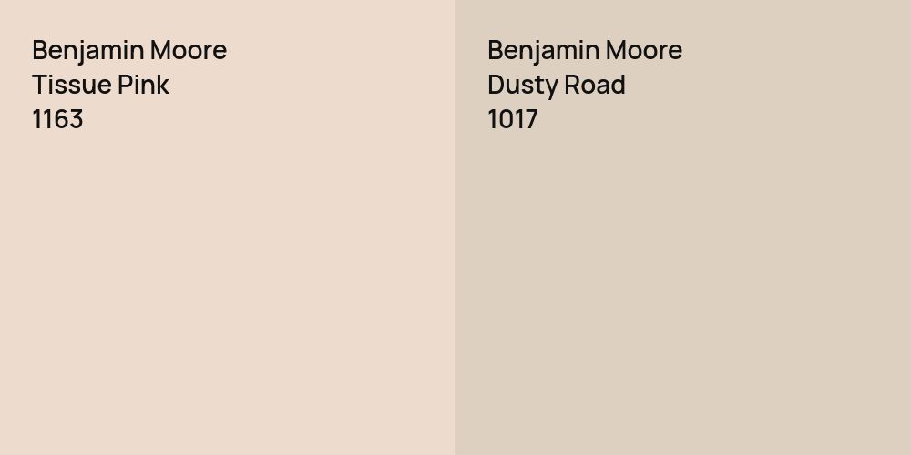 Benjamin Moore Tissue Pink vs. Benjamin Moore Dusty Road