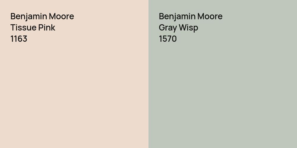 Benjamin Moore Tissue Pink vs. Benjamin Moore Gray Wisp